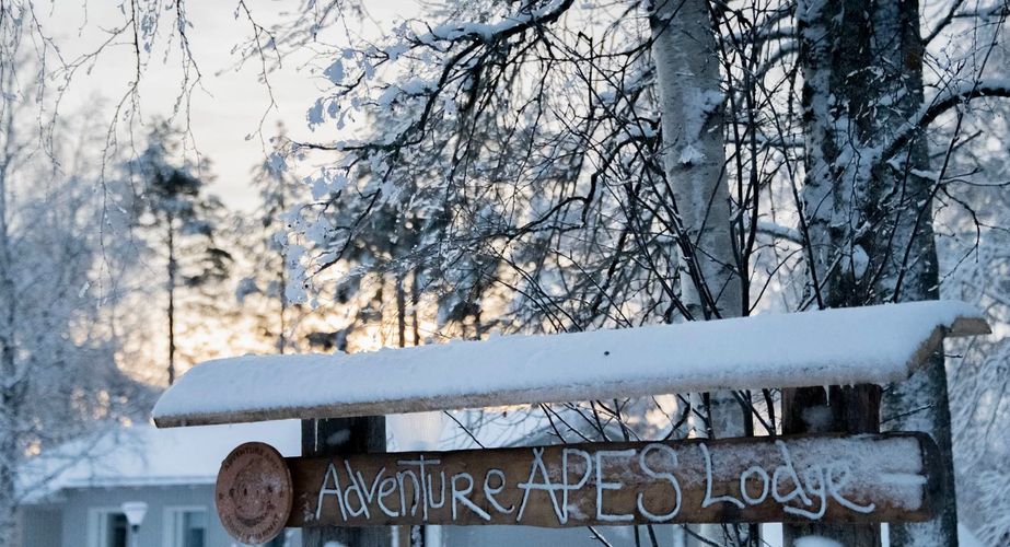 Accommodatie in Finland